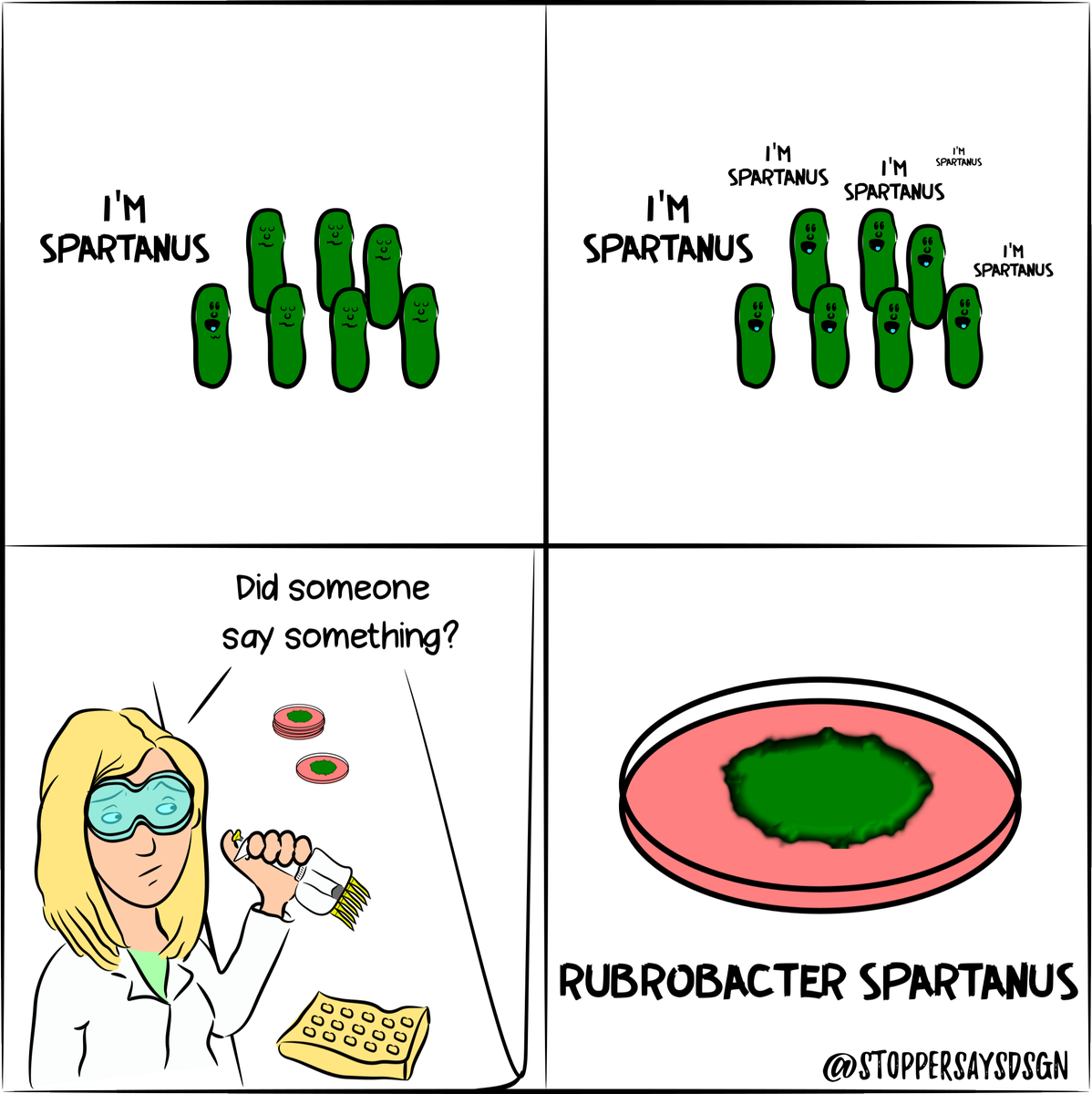 stoppersaysdsgn's tweet photo. Something new, my first cartoon strip... I'd love to hear your thoughts!
.
 
Rubrobacter spartanus cells are short irregular rods. Isolated from soil of Kilauea Volcano in Hawaii
.
#microbiology #sciencehumour #spartacus #spartanus #bateria #postdoclife #phdlife #sciencelife https://t.co/6shbegdhzy