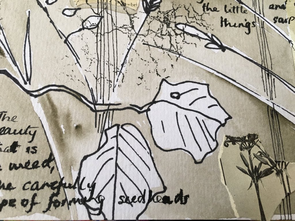 BoundaryWay's tweet photo. @ClareWassermann discussed #mindfullness &amp; #flow during her sketchbook workshop, in these drawings she adds dialogue to express her feelings as she sketches outdoors #artsandhealth #wellbeing see this work and much more in our #senseofplace exhibition - part of #seasonforchange https://t.co/bkd4AlIVxg