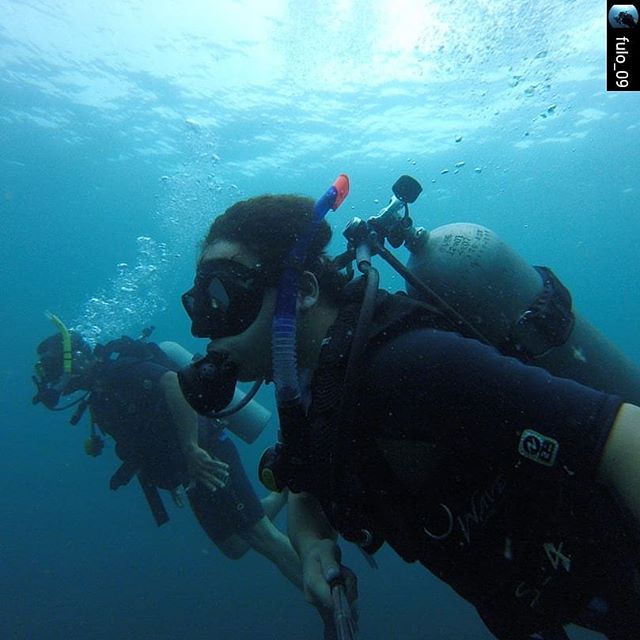 SCUBAPANAMA's tweet photo. En las profundidades, no tenemos ataduras, totalmente🆓️ souls/ espíritu libre o no @fulo_09 ?
.
.
#bienvenidoalacomunidaddebuzos👌🏼
.
.
Y tu, qué esperas? Hazte buzo con nosotros ya!
.
.
.
#owdiver #Padidiver #vivelibre #underwaterpicture #scubapanama #scubaportobelo https://t.co/0BsjxPd2Js