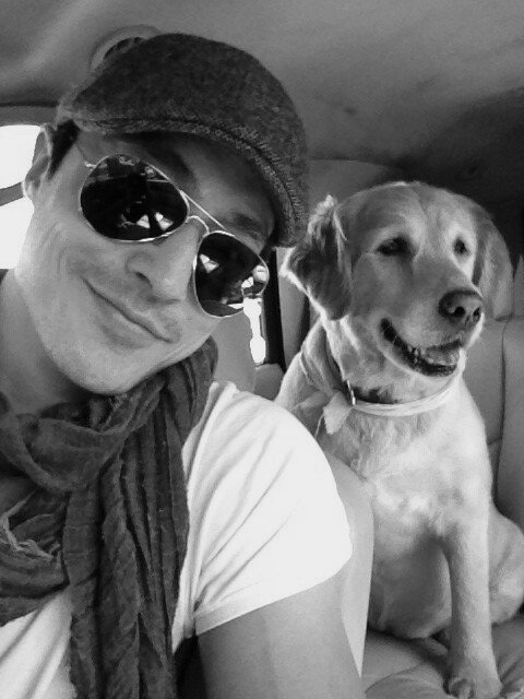 xKingOfFlames's tweet photo. •~ Say "Hello" to my new friend, King. 🐶 https://t.co/iEFXLDl0vP