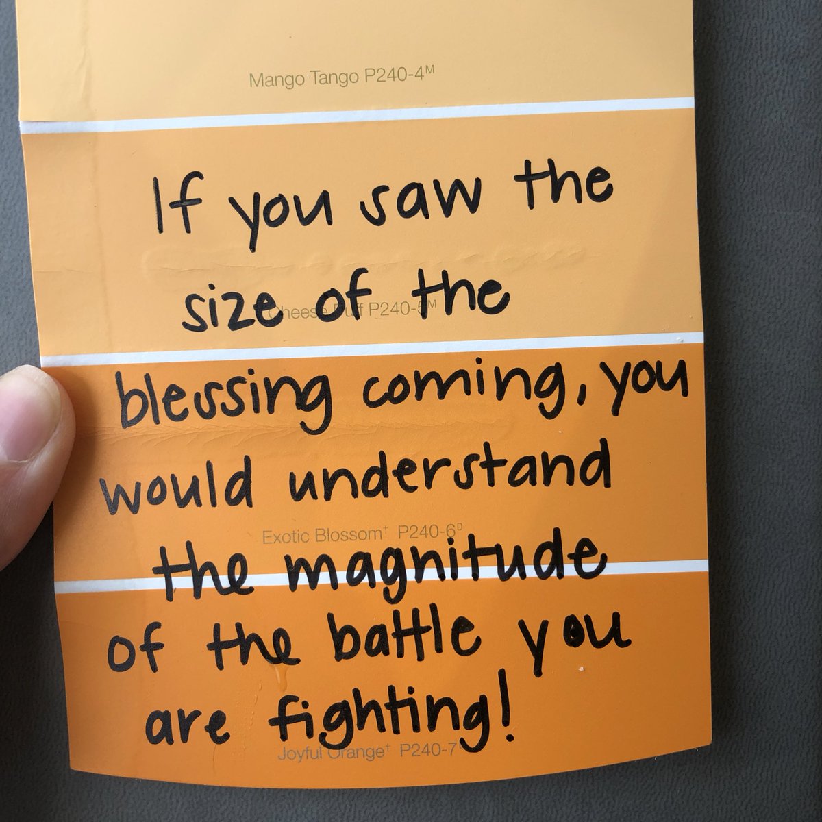 floweroftheuni's tweet photo. day six: worth the fight. #deeplyrootedchallenge ✨ https://t.co/IQTldlyCVz