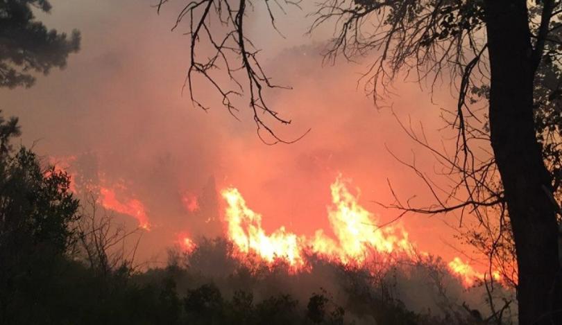 KOLO8's tweet image. .@HumboldtToiyabe says 395 and 108 are still closed in the area of the #BootFire burning along the Walker River in California: kolotv.com/a?a=492448001