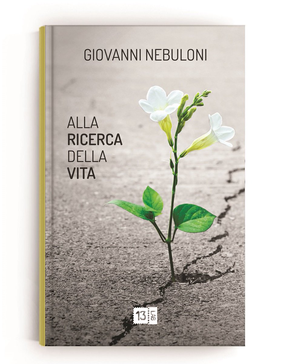 librialchiaro's tweet photo. Abbiamo appena pubblicato una nuova recensione "Alla ricerca della vita" di @G_Nebuloni... fatemi sapere se vi piace ;)
https://t.co/y1Z8OlHfcl
#book #bookblog #librialchiarodiluna #libro #libri #recensioni #recensione #blog #bloglibri #ebook #gratis #free #lovebook #Kindle https://t.co/RPxLzPEVFa