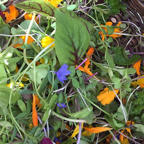 EATS SHOOTS AND LEAVES
<a href="/littlegreenkk/">TheLittleGreenGrocer</a> Edmundburry Greens will share their in depth knowledge of micro green production, the health benefits,  secrets and tips 
The Little Green Grocer, 6 Parliament St, Kilkenny 
📆 Sat 27th October 
⏰ 2.30pm 
🎟FREE
#savourkilkenny