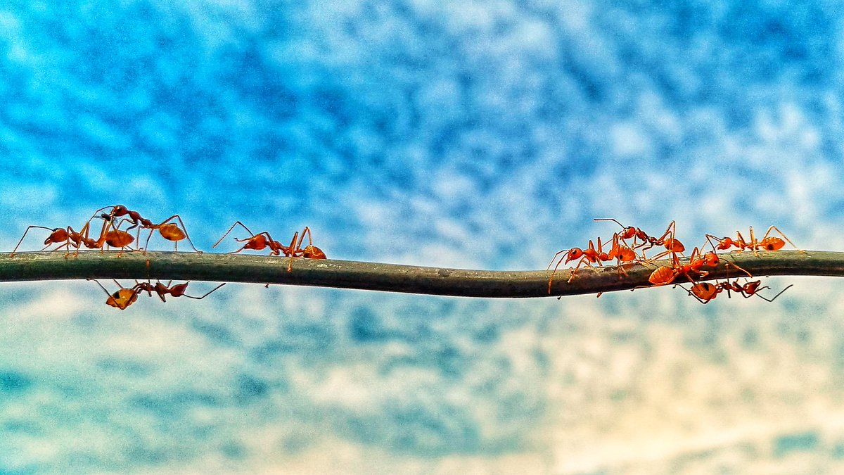 OjokOkot_'s tweet photo. Shot on #InfinixZero5 #Mobilephotography #SnapSeed https://t.co/0nJI9rhkXS