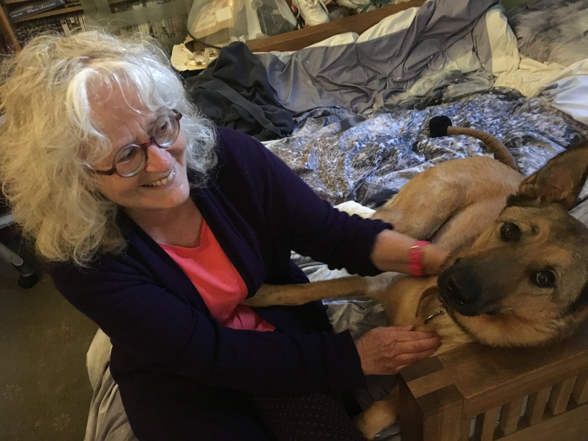 MandySlater17's tweet photo. Doris #GermanShepherd had sedation and wound treatment again this morning and there has been a further small improvement. 😘😘😘
🙏🙏
And had several adopted aunties visiting this afternoon.

@gsrescueelite 
@K9Finn 
#DogLover
@slater_vet
#Healing https://t.co/nmuPYiZsra