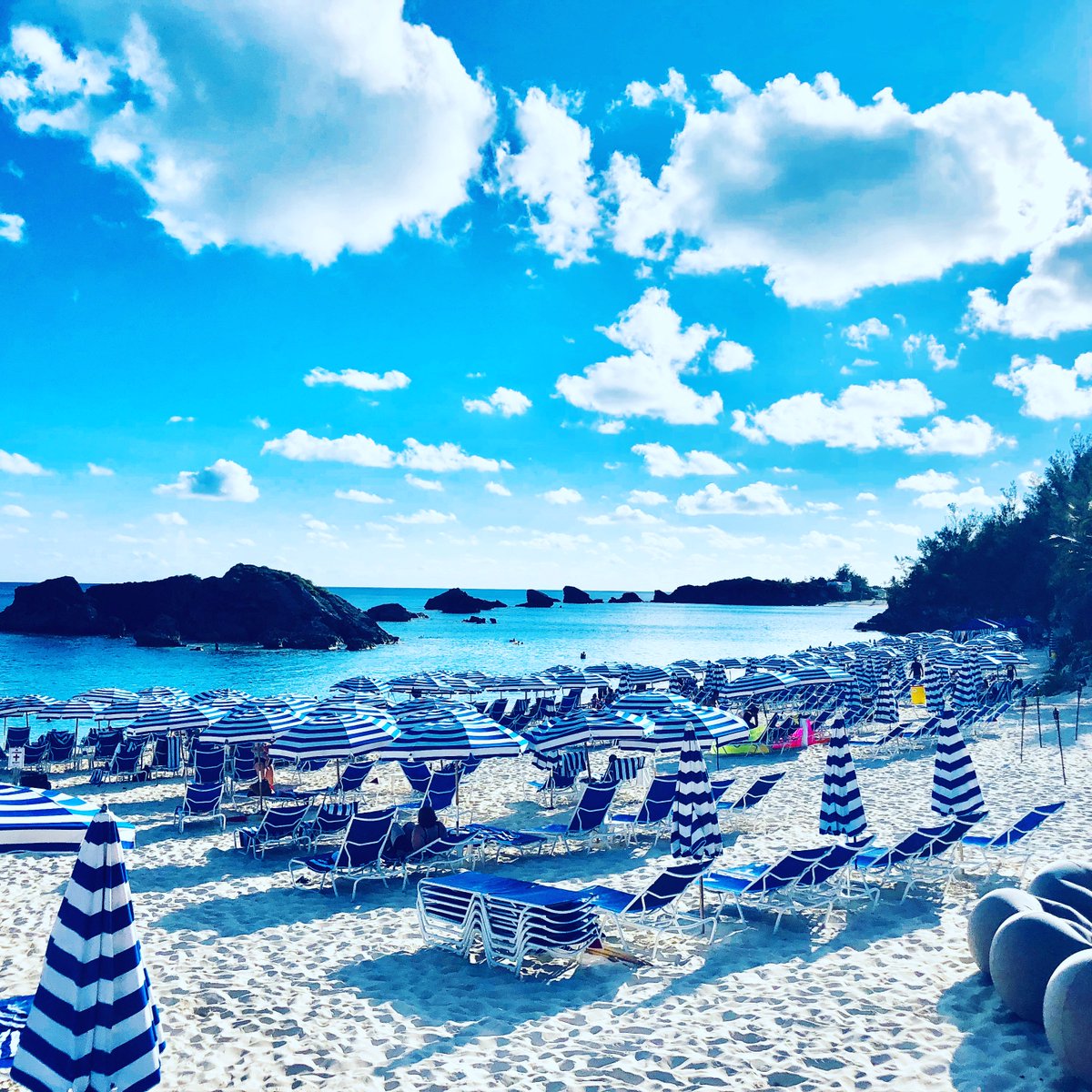 PoppyAustinOrg's tweet image. We have been having a little social media R&amp;amp;R downtime and working on some awesome things... so watch this space! In the meantime close your eyes, take a deep breath and imagine yourself on a beach... its not really autumn. Well it is, but we can pretend right?! #goodbyesummer