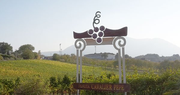 #Wine #Irpinia #Taurasi #Aglianico <a href="/Cavalierpepe/">Tenuta CavalierePepe</a> viacialdini.it/winefood/caval…