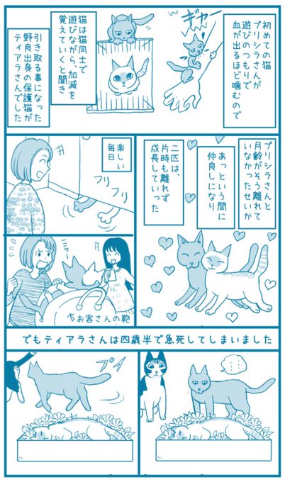 泉福朗さんがツイートした漫画に泣いた 調べたら泉福朗さんは凄い人だった のムのム 自然体つぶやきブログ