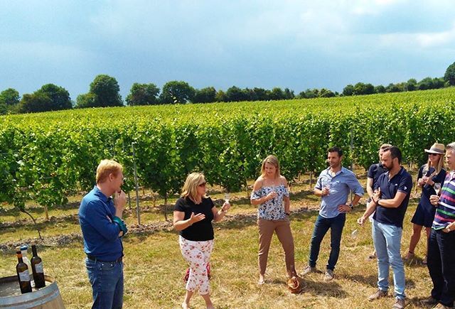 Come and see us this Saturday 8 September for our final Open Day event of 2018! 
Chat to key members of the winemaking and vineyard teams, have a nose around our lovely looking vines, and taste our entire range of award winning wines. 
The event is from … ift.tt/2wO3T2r