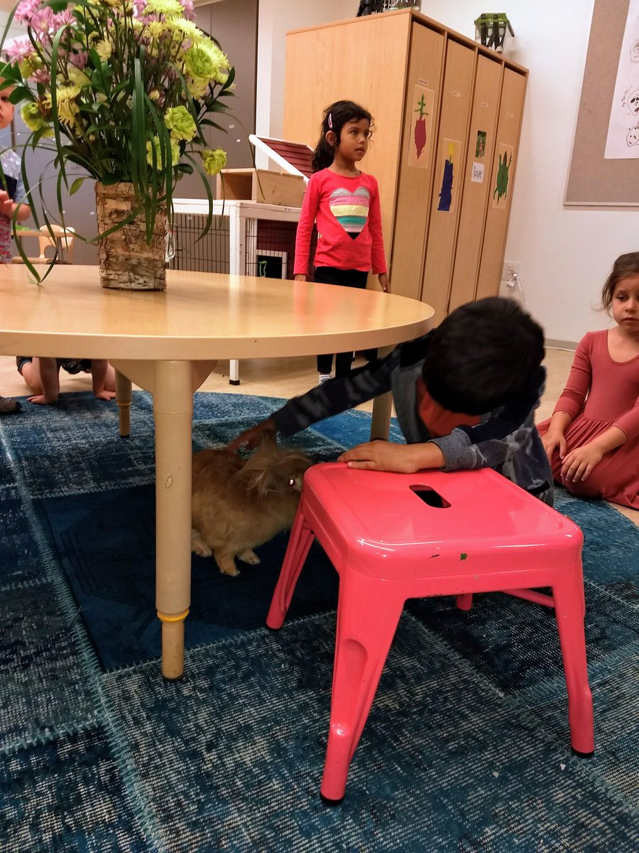 MsKiranYounus's tweet image. First time Leon came out of his house while children were in the classroom #eshlab #gettingtoknoweachother