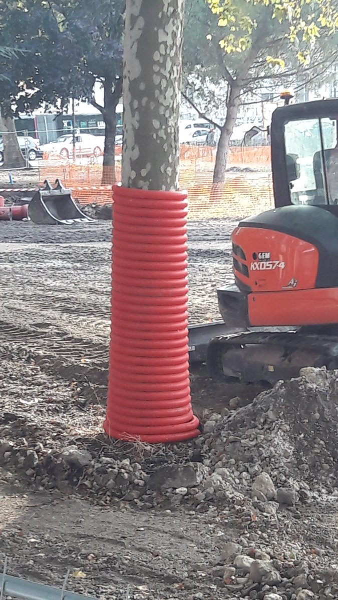 candrfencing's tweet photo. Interesting take on #treeprotection French style https://t.co/QtUEZs1YnH