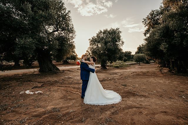 ffranciosoph's tweet photo. PUGLIA MIA
⚬
⚬
⚬
#weddinginpuglia #puglia #franciososocial #francescofranciosoph #ulivi #natura #terra 
#destinationwedding
#adventuresession
#destinationwedding
#adventuresession
#elopementphotographer
#destinationweddingphotographer
#loveislove
#elopement
#adventurousweddi… https://t.co/2tCF4QCExk