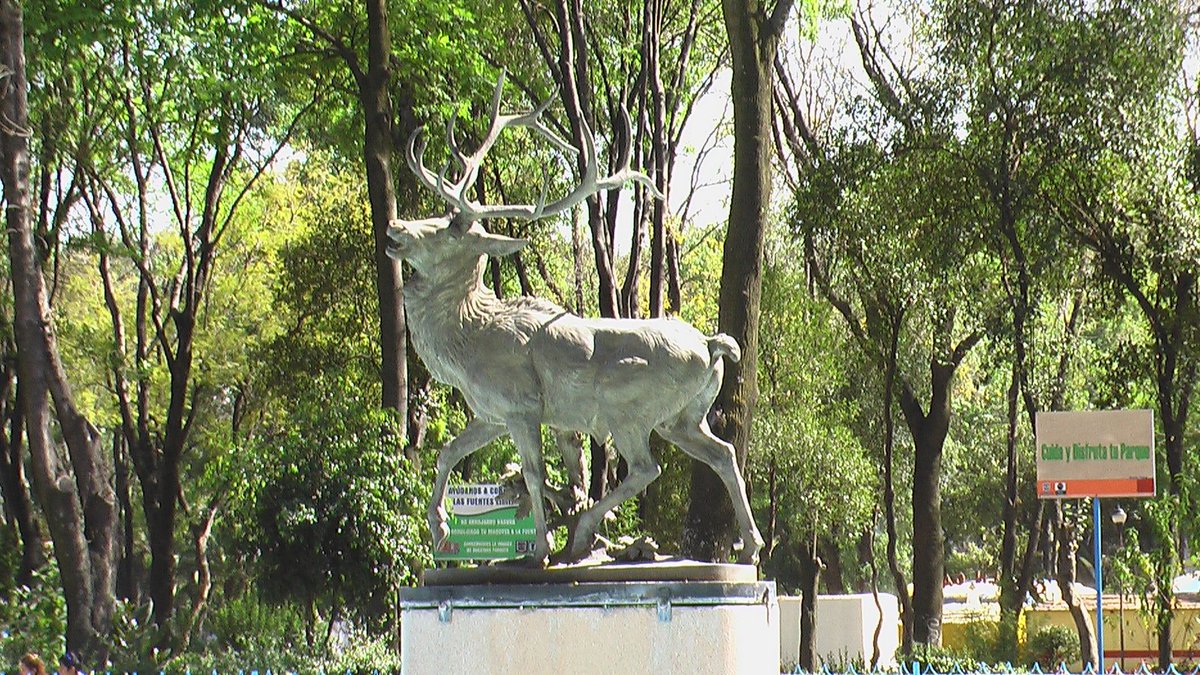 CitaAccesible's tweet photo. El Parque de la Bombilla y el Parque de los Venados son algunos de los parques accesibles de la ciudad. #CITACDMX2018 @TurismoCDMX https://t.co/ipRoOSmO8F