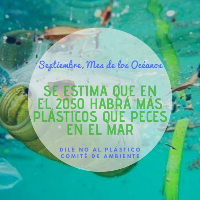 camaramaritima's tweet photo. Aprovechemos el mes de los océanos para disminuir el uso de plásticos. La mayoría de ellos terminan en el mar, transformándose en alimento de nuestros peces.Peces que luego nosotros comeremos, absorbiendo todas las tóxinas que los microplásticos les traspasaron #comitedeambiente https://t.co/G08izHrXH1