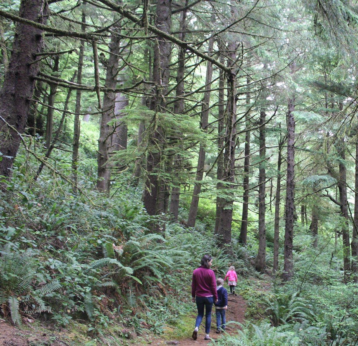 Throwback to Kim's trip to Oregon.  She is used to the Rocky Mountain so it was cool to see the PNW.
@Krzanderson
#TBT #Travel #KidsWhoTravel #Vacation #Hike #Hiking #Trails #Forest #PNW #FamilyTime #Oregon #OregonCoast #WomenWhoHike #KidsWhoHike #FamiliesWhoHike #Explore #Outly