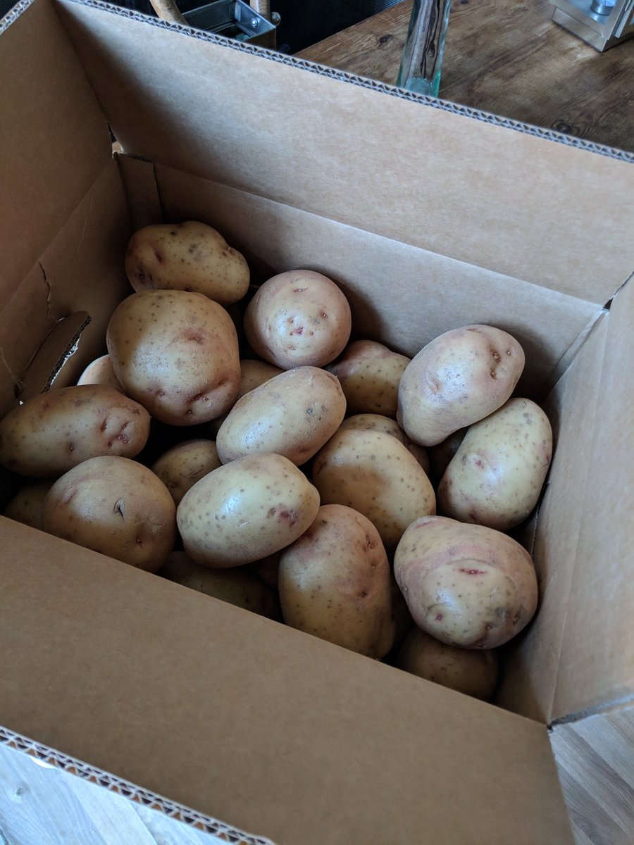 Bogeybean's tweet photo. When your customer is a farmer and you get 40 of his Grade A spuds as a tip.  They make the cracking wedges tho 👍.
He's now a @atagheating convert #Atag 
 #Heating #QualitySpuds #Wedgesanyone #tips https://t.co/bd09aljgKC