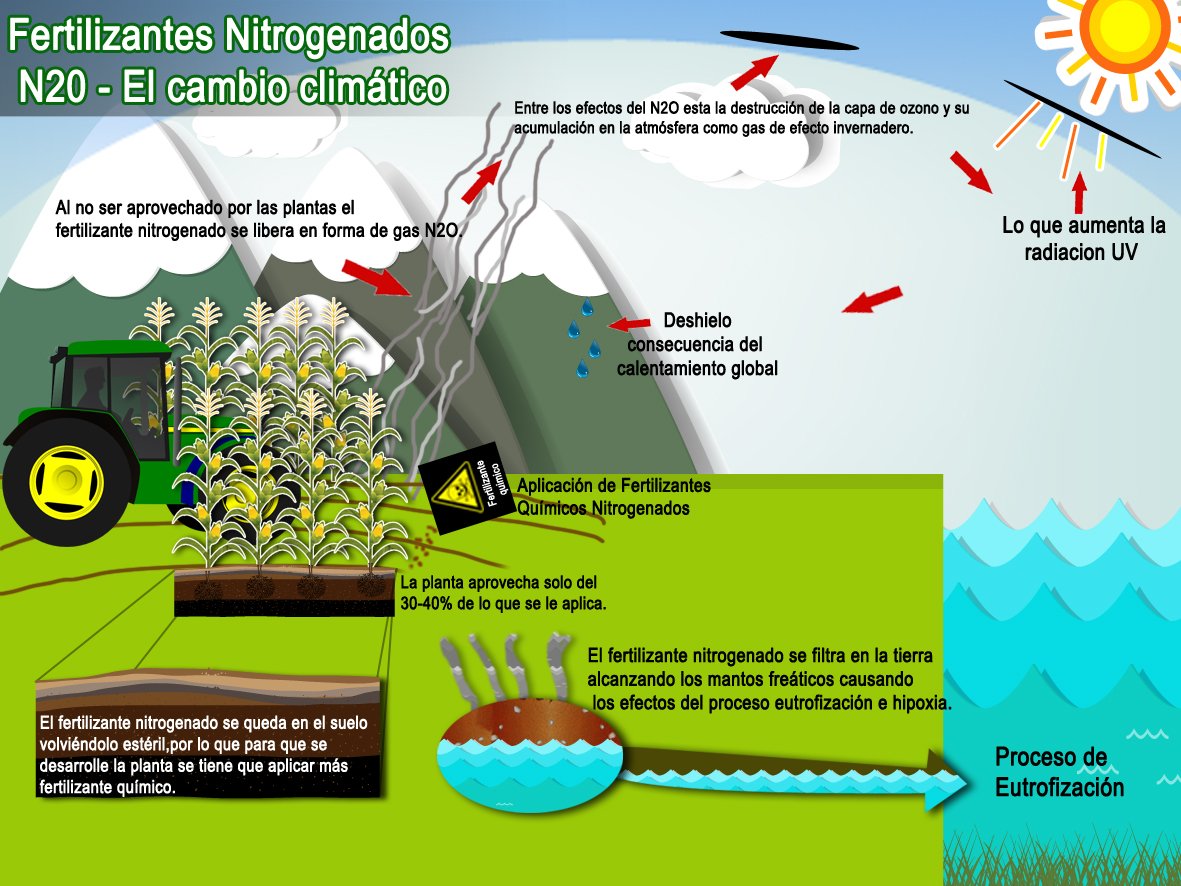 Fertilizantes Consecuencias En El Medio Ambiente