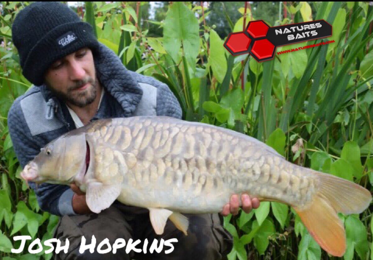 BaitJam's tweet photo. Josh Hopkins sent us this catch report after visiting our online shop and purchasing our Alpha Range which then sore him have 7 takes on  Tanyards fishery specimen lake 1 this making us  another happy customer and convert to our bait  ranges 

https://t.co/XyZpZnpN2C https://t.co/wZarm0rO9j