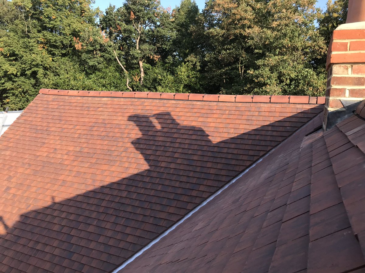 MinniedaleProj's tweet photo. Roofing &amp; External Decoration work complete on a 4 bedroom detached house in Farnborough, Hampshire.

Need help finding a competent and reputable roofing contractor who will ensure you meet part L of the Building Regulations, please get in touch. https://t.co/9BT2uR6uHH