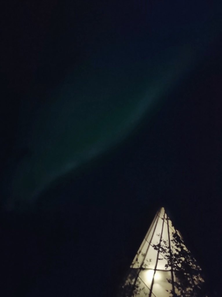 アリスムカイデ 夏のオーロラを見に行ってきました 遠吠えが響く森 シンと透き通った空気 星で埋まりそうな夜空 きまぐれにゆらめく白い光 好きと美しいが詰まりすぎて世界かと思うほどの時間 スマホのカメラじゃ強い光がぼんやりと写る程度だけど