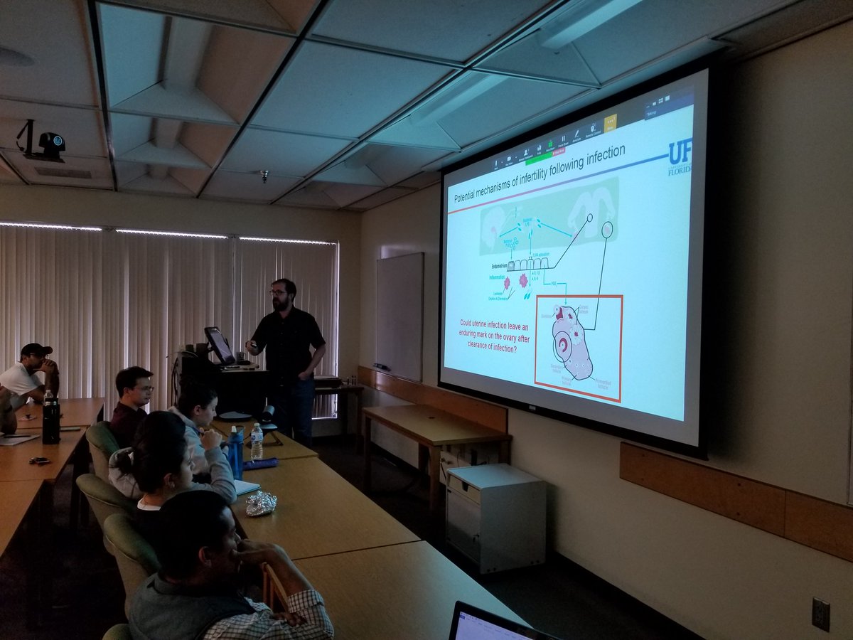 ufpjhansen's tweet photo. @UFjbromfield at #UFAnsci seminar presenting research on how uterine infectious disease can have long-term effects on the oocyte. #UFIFAS #reprorocks #bovinereproduction #UF https://t.co/hUtuwZ0SfO