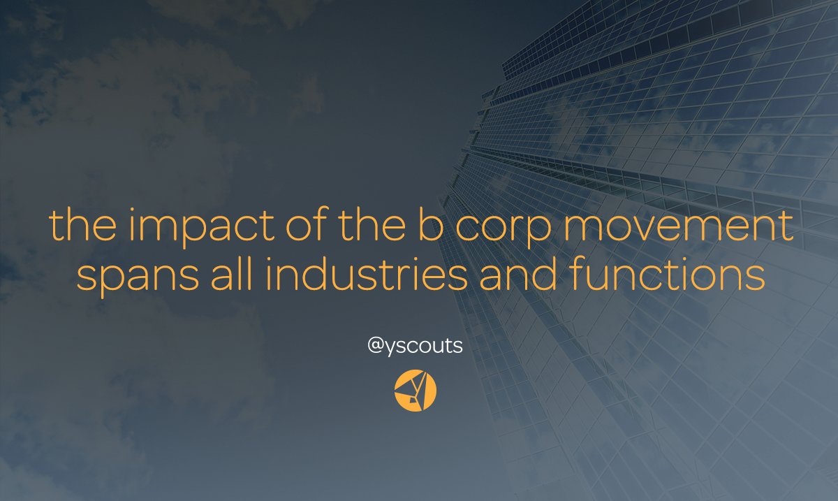 Y Scouts tweet media