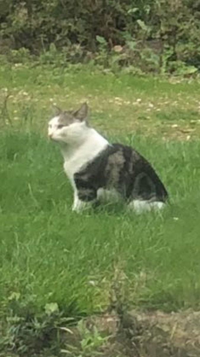 Henry Jordan tweet media