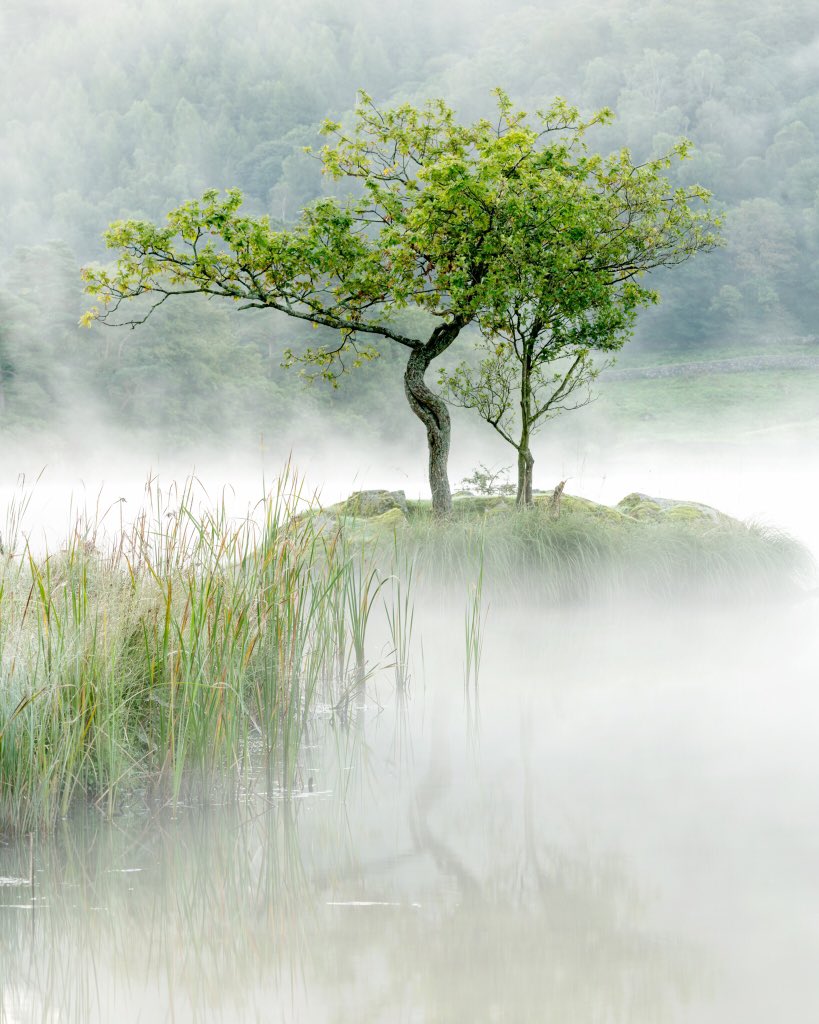 A misty start at Rydal Water <a href="/keswickbootco/">Keswick boot co</a> <a href="/NotJustLakes/">Not Just Lakes</a> <a href="/NPhotomag/">N-Photo</a> <a href="/UKNikon/">Nikon UK & Ireland</a> <a href="/LEEFilters/">LEE Filters</a> <a href="/CumbriaWeather/">ᴄᴜᴍʙʀɪᴀ ᴡᴇᴀᴛʜᴇʀ</a>