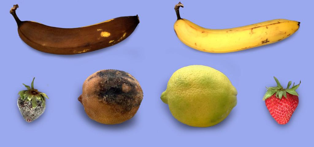 Forbes's tweet photo. Apeel Sciences: a startup that developed a way to keep avocados, lemons and dozens of other fruits and vegetables fresher
https://t.co/vs6PLpe1iO https://t.co/6UgWl18o51