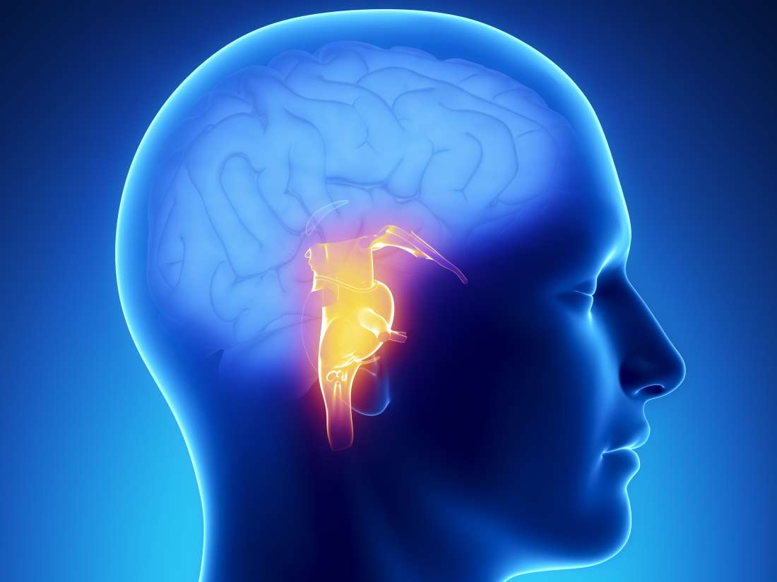 telespecialists's tweet photo. Know the symptoms of a brain stem stroke: https://t.co/q9QGiIHzY1 https://t.co/GOtDUfoCVk