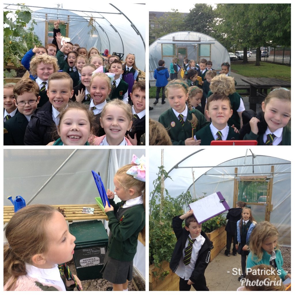StPatricksPS's tweet photo. Room 4 visited the Polytunnel and worked in pairs to complete a noun hunt and a shape hunt. #usingourresources https://t.co/0Ep5wQ3TrQ
