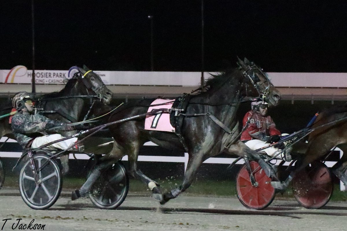 hoosiernations's tweet photo. Lost in the shuffle of #HomicideHunters WR #SatinDancer finished 3rd Congrats to Mr Hooley!! #HoosierHorsepower
@JRhein98 @NateRheinheimer @bigticketbates @rebelsart @jtlburn @kimberlymoier @vnssa926 @KathleenBaitzel @HoP_Racing @INStandardbred https://t.co/ruTsNukki5