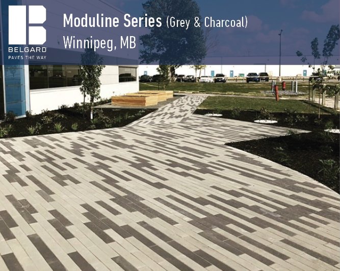 ExpocreteCDN's tweet photo. Beautiful @Belgard @ExpocreteCDN Moduline Series in Winnipeg, MB. Installed by Kindret Landscaping. #PavingStones #Moduline https://t.co/uG1Y1Rhmqw