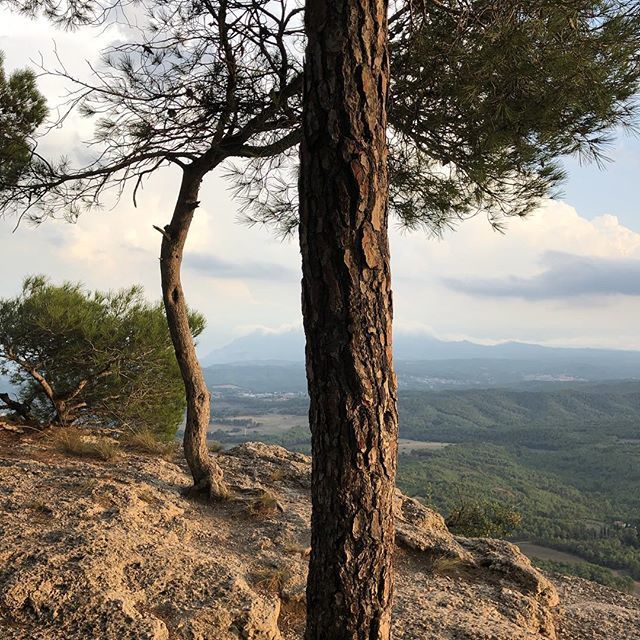 danicamarero's tweet image. #collbaix ift.tt/2M6BNE8