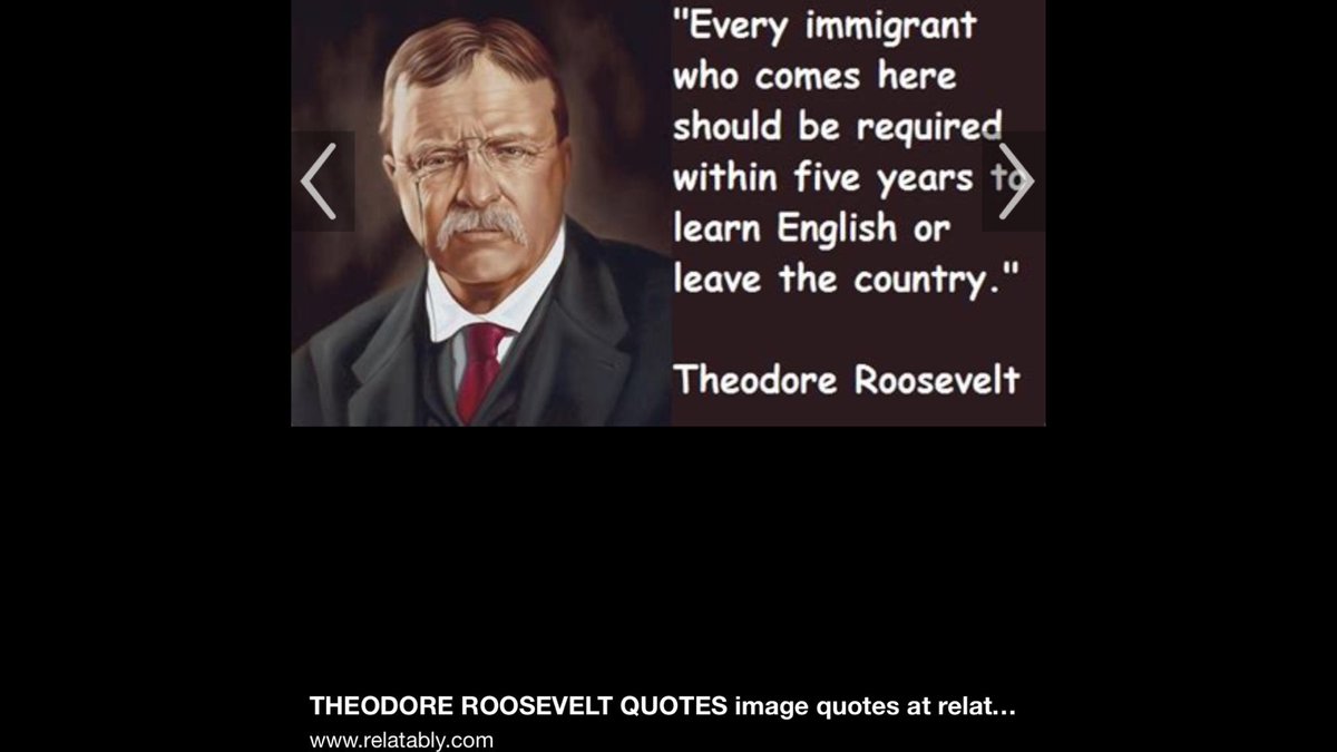 Theodore Roosevelt Quotes On Immigration | 4 Quotes X