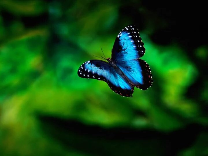 GainWithMaster's tweet photo. Gain some followers
✝Retweet
✝Like
✝Follow back
✝ Let's go

#IFB #GainWithXtianDela #GainWithTrevor #GainWithMaster https://t.co/MVmcvmscfW