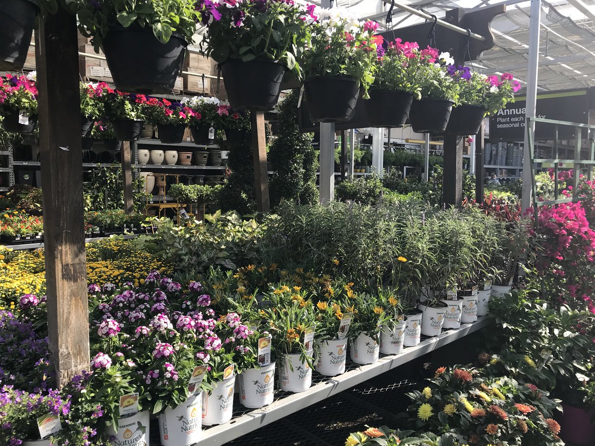 DDGrahamFlowers's tweet photo. Hello Thousand Oaks folks!
Check out the amazing plants waiting for you at the Home Depot today.  May your home be as beautiful as the weather. https://t.co/JMQGMoFLky