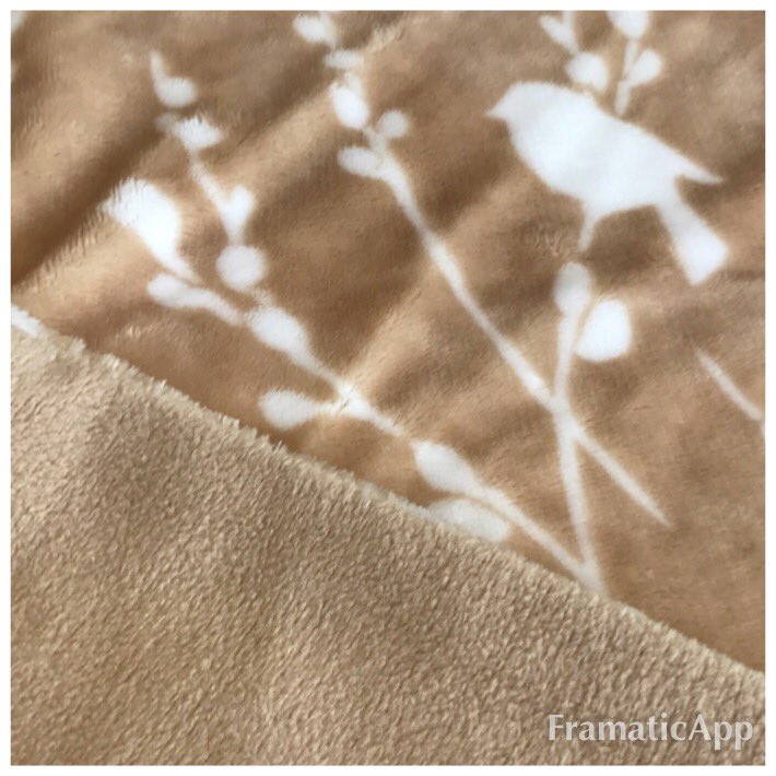 debraleighTV's tweet photo. Stock up with a #velvetsoft sumptuous bedding OTO &amp; a full hour of #cozeehome  #warmbedding ready for the cooler months with me &amp; @TheHuntley #10pm @qvcuk https://t.co/4ZoWCnBgeH