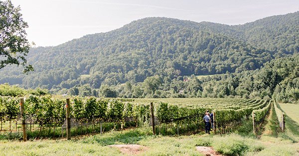 Virginia Wine tweet media