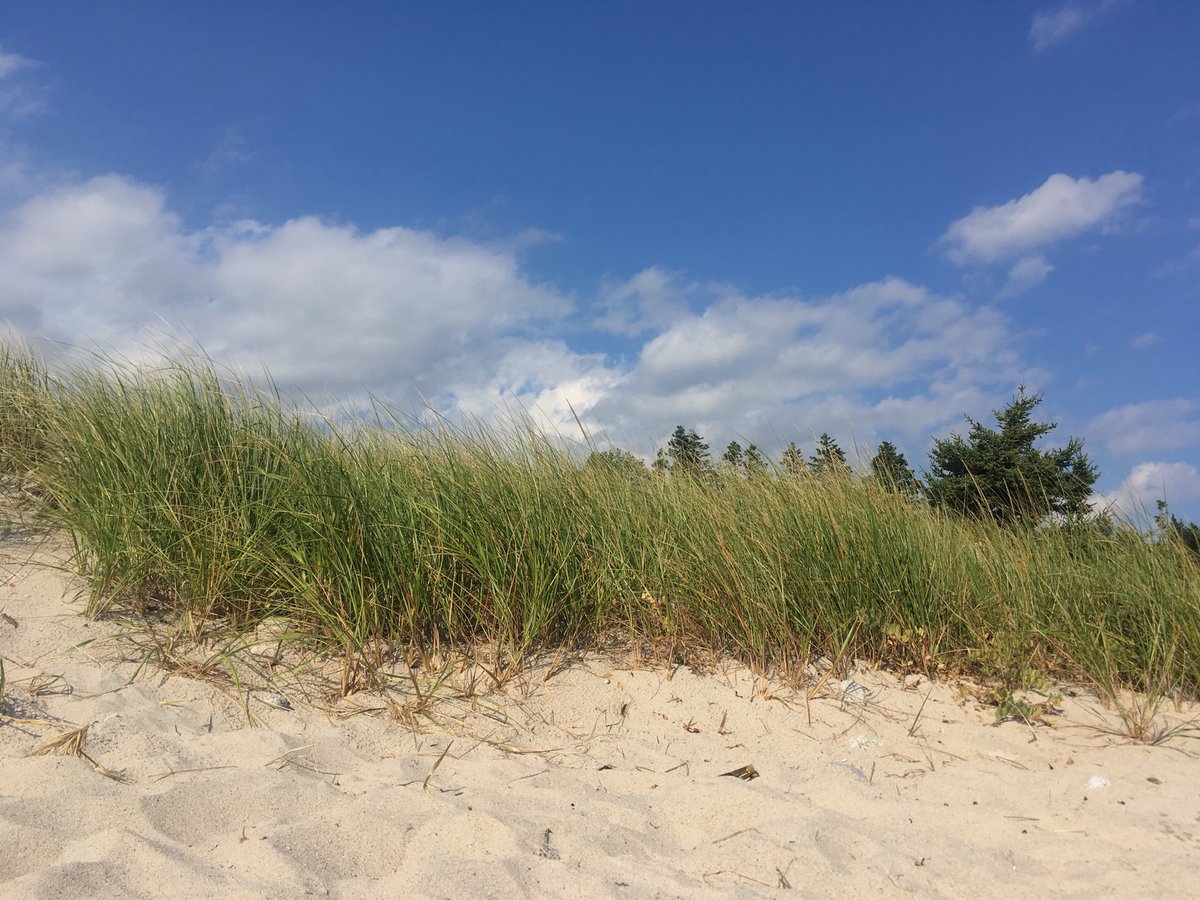 livelyfriends's tweet image. Soaking up every bit of summer I can!

#hubbards #NovaScotia