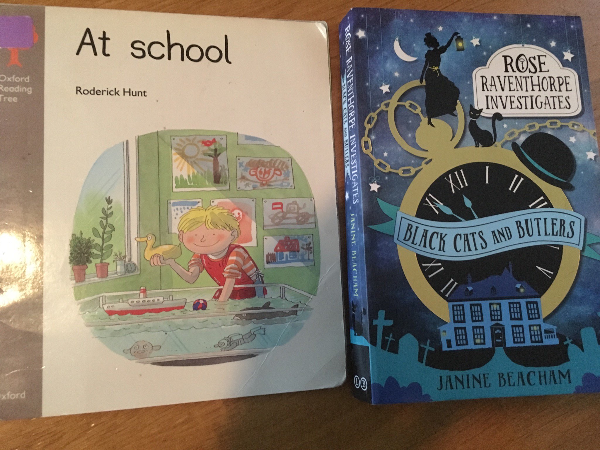 Black Cats And Butlers Book 1 Rose Raventhorpe Investigates Rose Raventhorpe Investigates 1 Paperback Black Cat Cats Butlers