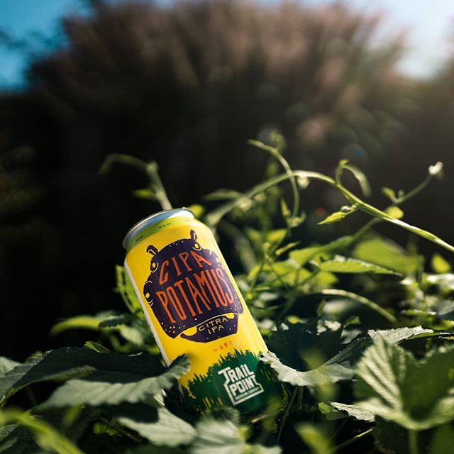 #CIPApotamus cans available tomorrow!