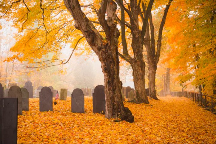 SidewalkGuide's tweet photo. @Nicolette_O A5: A spooky graveyard tour in Salem, Massachusetts. Creepy and beautiful was an interesting combination. 🧙‍♀️ #CultureTrav https://t.co/IuhlcObijT