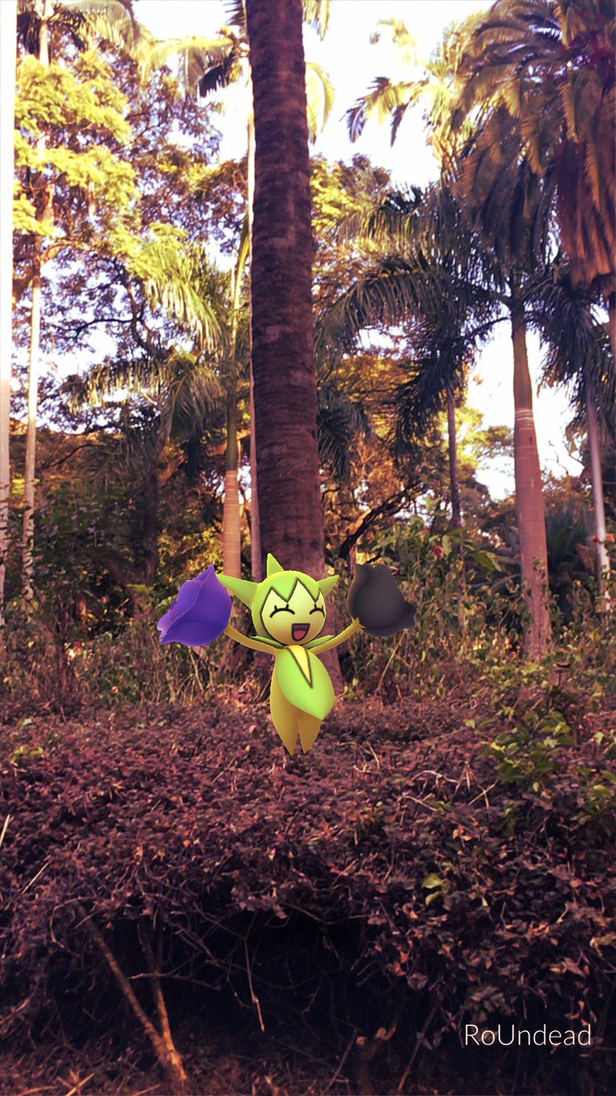 RMetalcore's tweet photo. @PokemonGOHubNet https://t.co/l2ek5AOWne