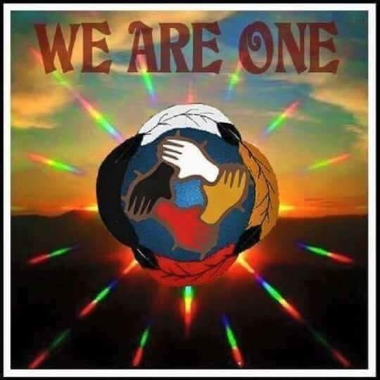 Indigenous tweet media