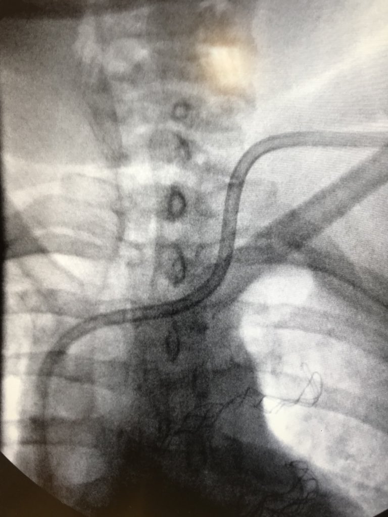 Omar Solana MD NFT tweet media