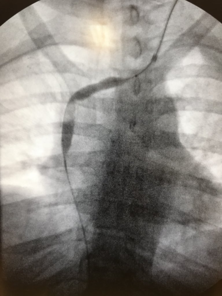 Omar Solana MD NFT tweet media