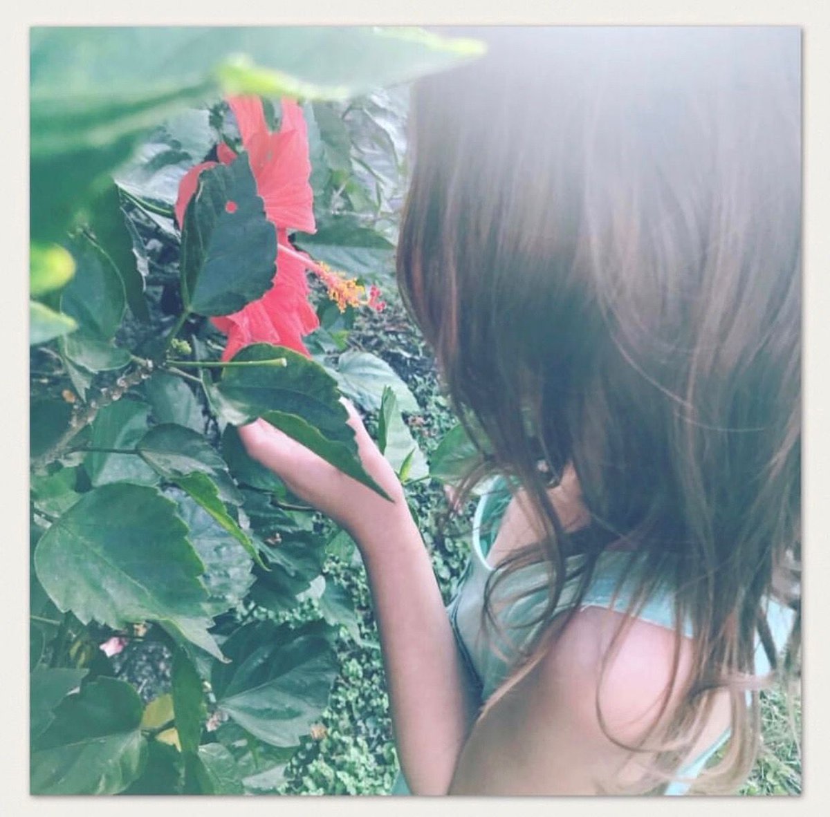 growing_organic's tweet image. Just a friendly reminder to step outside and enjoy nature today! Maybe even stop and smell some flowers along the way like this cutie is doing today! You'll feel better. We promise! #Nature #StepOutside #StopAndSmellTheFlowers