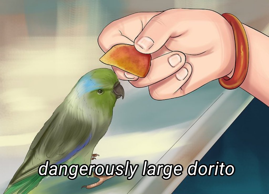 BirdsThoCo tweet picture